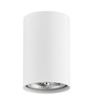 Oprawy sufitowe okrągłe - Argon TUBO plafon 1 pł. 1x12W (max) biały struktura 4910 BZ - product 2