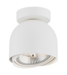 Argon GARLAND plafon 1 pł. 1x12W (max) biały struktura 4710 BZ Argon GARLAND plafon 1 pł. 1x12W (max) biały struktura 4710 BZ