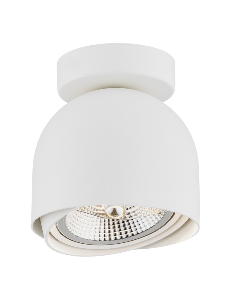 Argon GARLAND plafon 1 pł. 1x12W (max) biały struktura 4710 BZ Argon GARLAND plafon 1 pł. 1x12W (max) biały struktura 4710 BZ