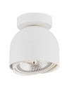 Argon GARLAND plafon 1 pł. 1x12W (max) biały struktura 4710 BZ