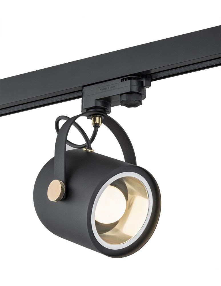 Argon NET reflektor 1 pł. 1x15W (max) czarny struktura elementy mosiądzowane 4311