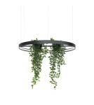 Thoro Żyrandol RIO BIO 78 czarny LED 4000K TH.552 Thoro Żyrandol RIO BIO 78 czarny LED 4000K TH.552