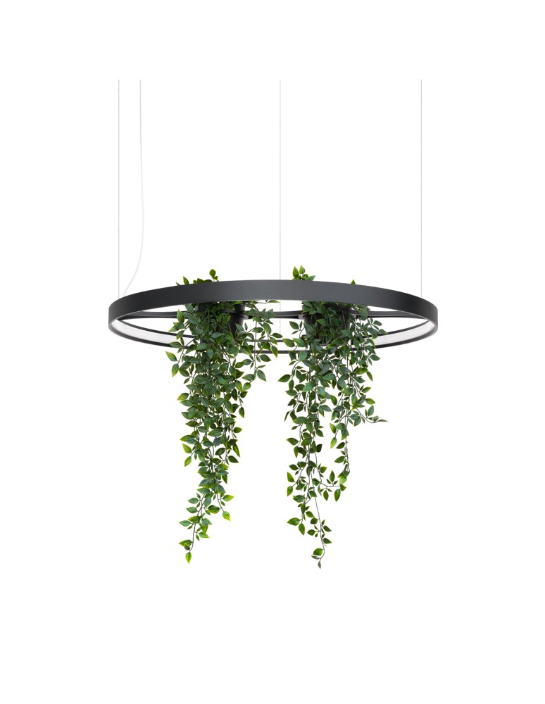 Thoro Żyrandol RIO BIO 78 czarny LED 4000K TH.552 Thoro Żyrandol RIO BIO 78 czarny LED 4000K TH.552