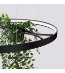 Thoro Żyrandol RIO BIO 78 czarny LED 4000K TH.552 Thoro Żyrandol RIO BIO 78 czarny LED 4000K TH.552