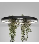 Thoro Żyrandol RIO BIO 78 czarny LED 4000K TH.552 Thoro Żyrandol RIO BIO 78 czarny LED 4000K TH.552
