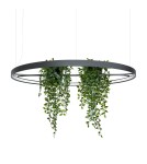 Thoro Żyrandol RIO BIO 110 czarny LED 4000K TH.556 Thoro Żyrandol RIO BIO 110 czarny LED 4000K TH.556