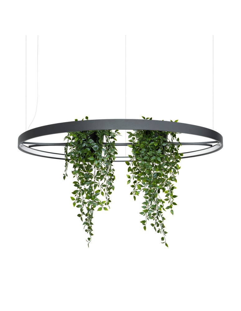 Thoro Żyrandol RIO BIO 110 czarny LED 4000K TH.556 Thoro Żyrandol RIO BIO 110 czarny LED 4000K TH.556