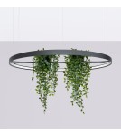 Thoro Żyrandol RIO BIO 110 czarny LED 4000K TH.556 Thoro Żyrandol RIO BIO 110 czarny LED 4000K TH.556