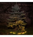 Lampy solarne - Eko-Light Lampa Solarna Pot 3000K IP44 EKO1449 - product 5