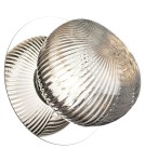 Milagro Kinkiet / lampa sufitowa BOLLA SMOKED 3W LED ML1431 Milagro Kinkiet / lampa sufitowa BOLLA SMOKED 3W LED ML1431
