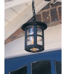 Lampy zewnętrzne wiszące - Elstead Lighting Latarnia wisząca Hereford - 1 źródło światła IP43 BL21B-BLACK - product 3