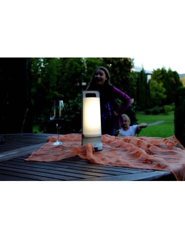 Lutec DRAGONFLY Zewnętrzna LED Srebrnoszary 6904101337 - produkt 2
