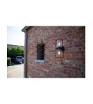 Kinkiety zewnętrzne - Lutec FLAIR Sufitowa 2xE27 czarny 5288804012 - produkt 3