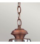 Lampy zewnętrzne wiszące - Elstead Lighting Średnia latarnia wisząca Newbury - 1 źródło światła - Lakierowana postarzana miedź IP23 QZ-NEWBURY8-M-A - product 2