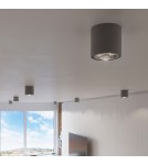 Lampy sufitowe - Sollux Plafon TIUBE szary SL.0696 - product 9