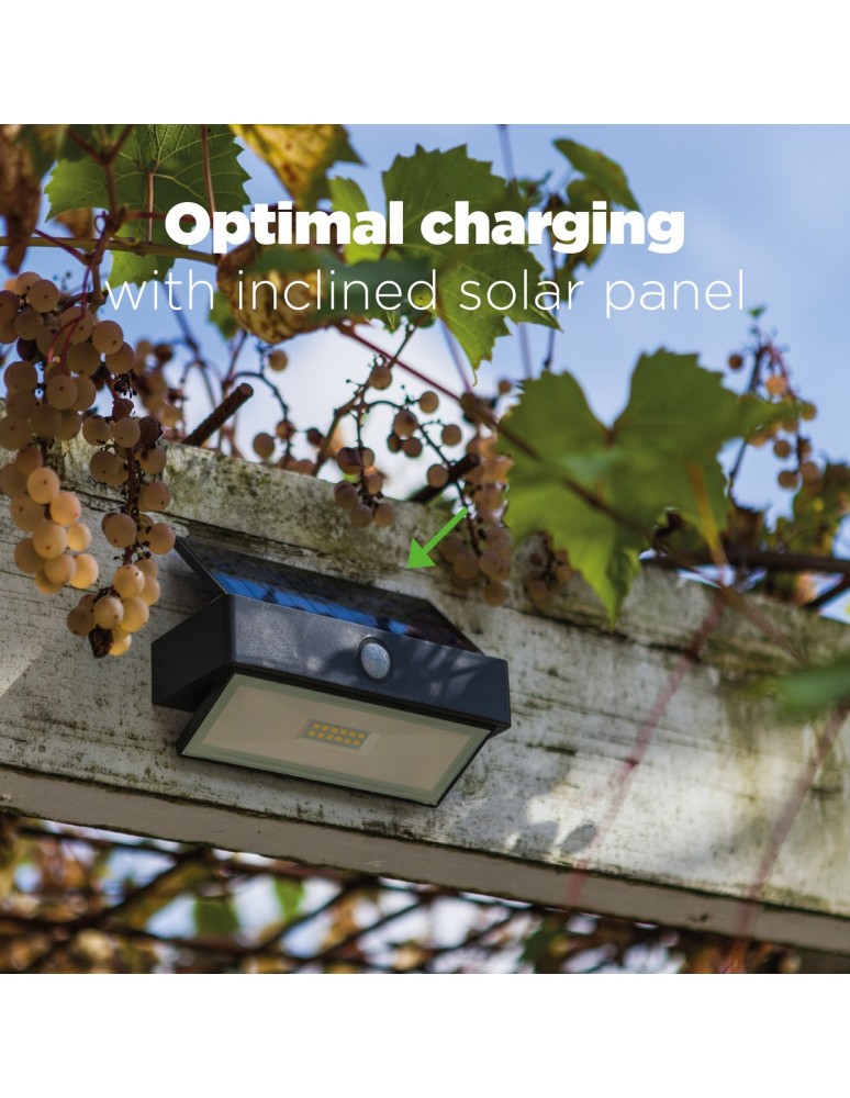 Lampy solarne - Lutec Zewnętrzna Ścienna ARROW 6910601335 - product kolory-swiatla.pl 3