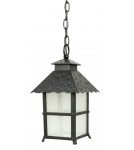 Lampy zewnętrzne wiszące - SU-MA CADIZ K 1018/1/Z Wisząca - produkt 1
