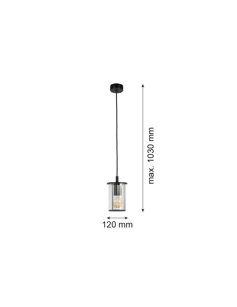 Argon NORFOLK 8751 lampa wisząca ogrodowa 1 pł., czarny + transparentny E27 (nie zawiera źródła światła) / 230V aluminium
