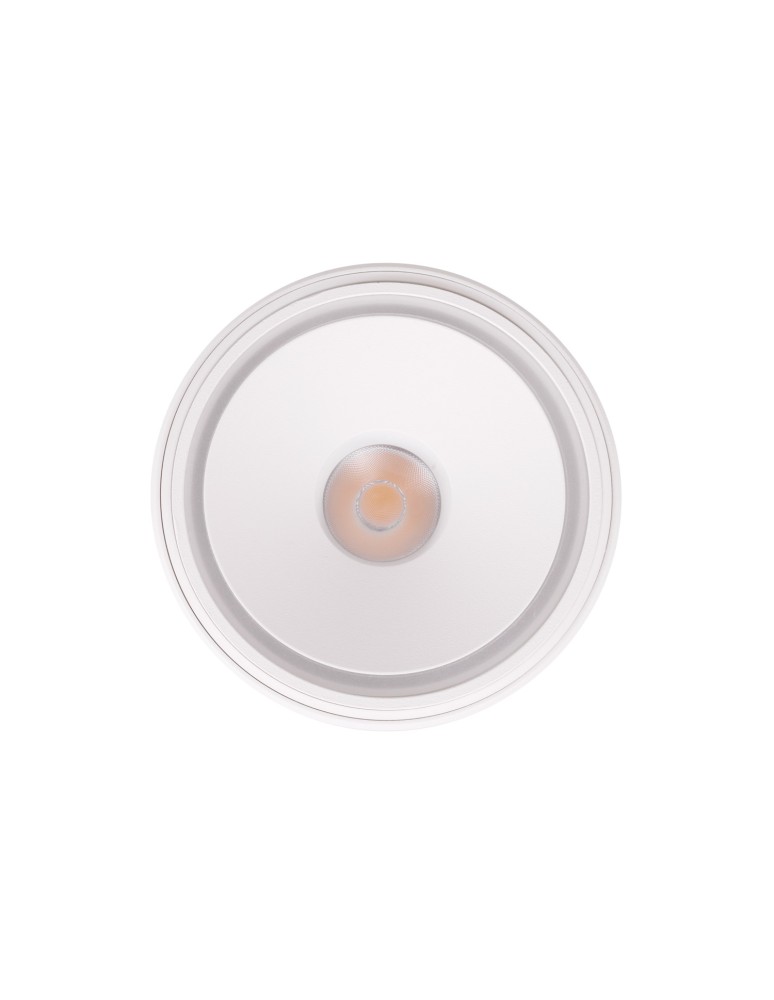 Maxlight Lampa Sufitowa Vector 10W Biała C0265