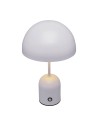 Italux Cantia Biurkowa LED 2W 3000K + 6500K 85 lm Szary TB-75839-GR