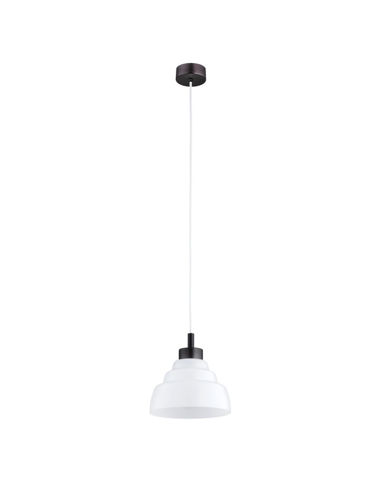 Argon VENTURA 8777 E27 (nie zawiera źródła światła) / 230V szkło, stal lakierowana szczotkowana Argon VENTURA 8777 E27 (nie zawiera źródła światła) / 230V szkło, stal lakierowana szczotkowana