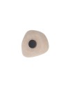 Azzardo EAGLE WALL BEIGE Ścienna Beżowy Matowy AZ6577