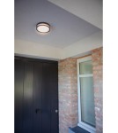 Kinkiety zewnętrzne - Lutec ROLA Sufitowa LED szary 6382201118 - product 6