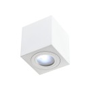 Oprawy sufitowe hermetyczne - Orlicki Design Lago Bianco IP44 Sufitowa - product 1