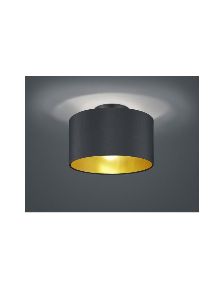 Lampy sufitowe z abażurem - TRIO HOSTEL 2 x E14, max. 40W 608200279 - produkt kolory-swiatla.pl 1