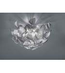 Lampy sufitowe - TRIO DOUGLAS  4 x G9, max. 28W 605800406 - product 1
