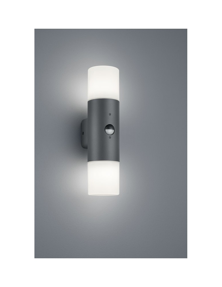 Lampy zewnętrzne z czujnikiem ruchu - TRIO HOOSIC 2 x E27, max. 20W antracyt 222260242 - produkt kolory-swiatla.pl 1