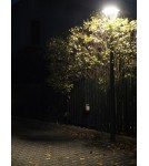 Lampy zewnętrzne latarnie - SU-MA Mars  LED 40W, 230V MLS-LB-22A - product 3