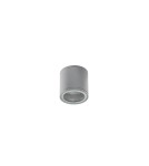 Lampy zewnętrzne sufitowe - Azzardo JOE TUBE BRG 1xGU10 Zewnętrzna Sufitowa Jasny Szary IP54 AZ3316 - product 1
