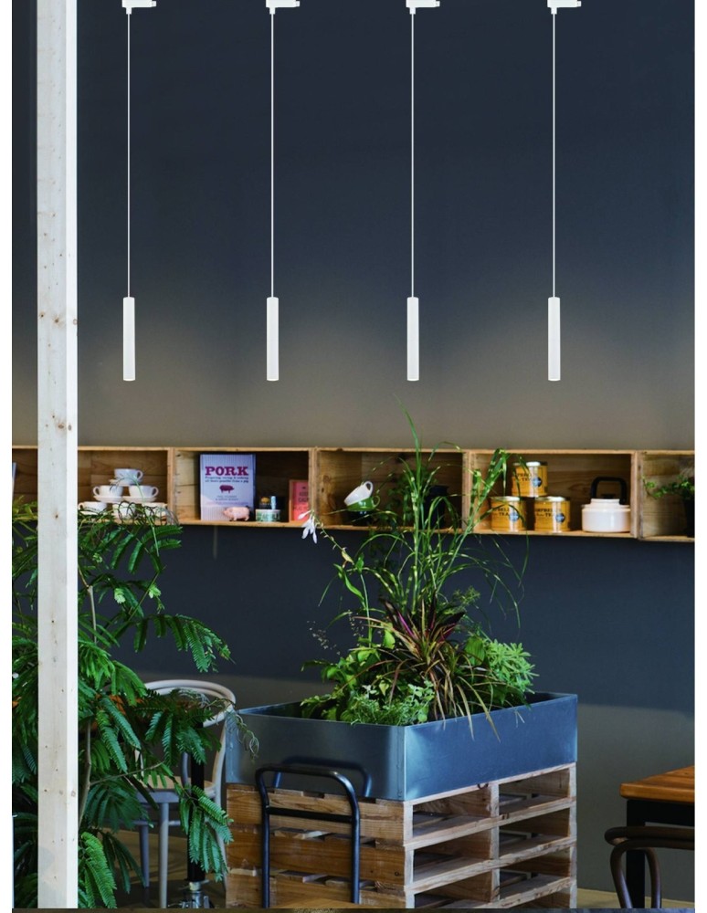 Lampy wiszące - Orlicki Design G9 5W Slimi S Bianco Track / Gold - produkt kolory-swiatla.pl 2