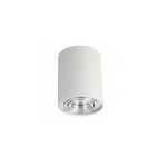 Oprawy sufitowe na wymienne źródło światła - Azzardo BROSS 1 WHITE/ALUMINIUM 1xGU10 Natynkowa Biały/Aluminium AZ0781 - product 1