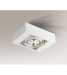 Oprawy sufitowe na wymienne źródło światła - Shilo KOGA 7115 Biały GU10 230V Sufitowa - product 1