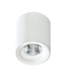 Oprawy sufitowe LEDowe - Azzardo MANE WHITE 1xLED Natynkowa Biały AZ2845 - produkt 1