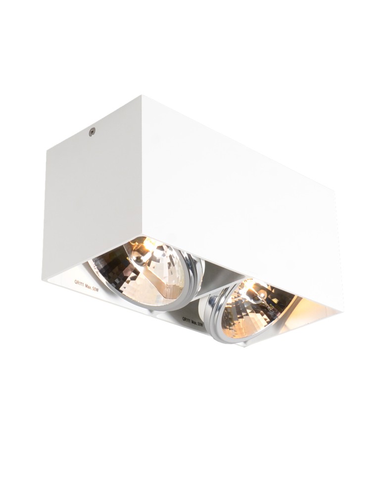 Oprawy sufitowe na wymienne źródło światła - Zuma Line SPOT BOX SL2 89949 Sufitowa - produkt kolory-swiatla.pl 1