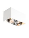 Zuma Line SPOT BOX SL2 89949 Sufitowa