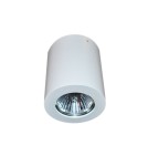 Oprawy sufitowe na wymienne źródło światła - Azzardo BORIS WHITE 1xGU10 Natynkowa Biały AZ1054 - product 1