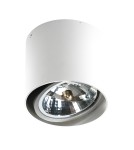 Oprawy sufitowe na wymienne źródło światła - Azzardo ALIX 12V WHITE 1xAR111 Natynkowa Biały AZ1356 - product 1