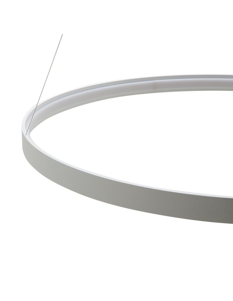 Zuma Line Wisząca Circle LED 50W 3000K śr 78cm dł. linek 250cm LA0716/1 - WH